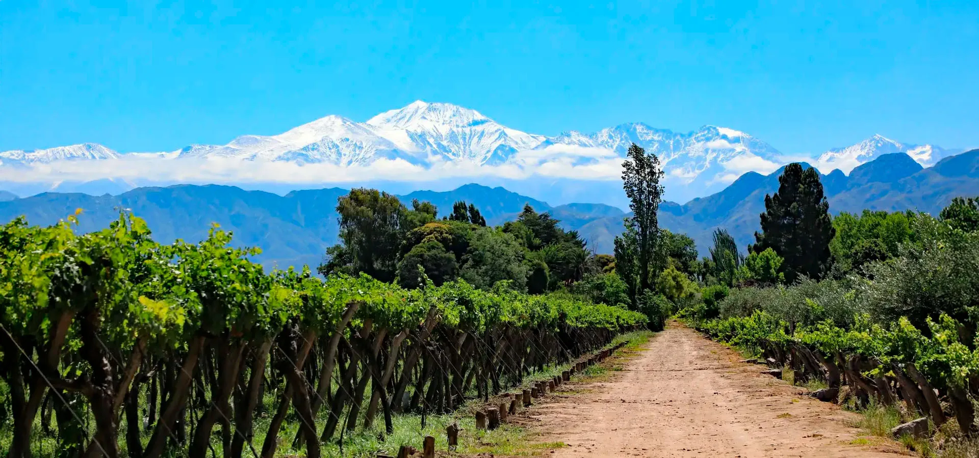 Mendoza en 5 días: sol, vino y paisajes inolvidables